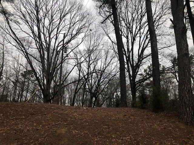 Land for sale in Oxford, Mississippi