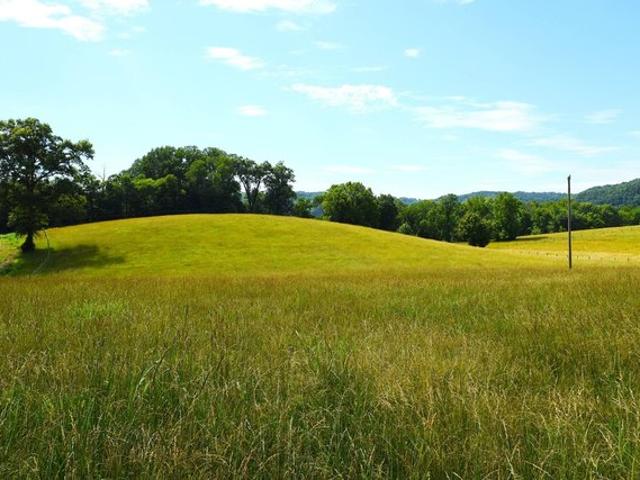 Land for sale in Burkesville, Kentucky