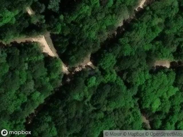 Land for sale in Village Mills, Texas