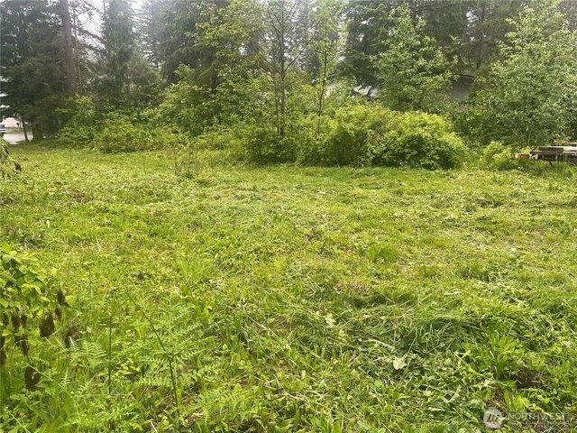 Land for sale in Maple Falls, Whatcom County
