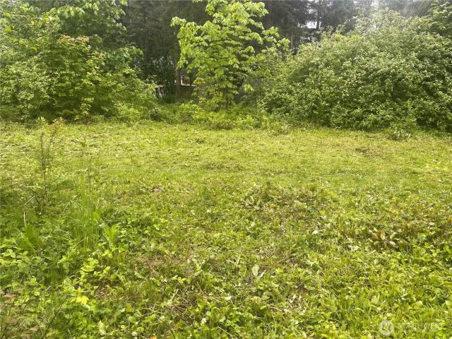Land for sale in Limestone Junction, Maple Falls