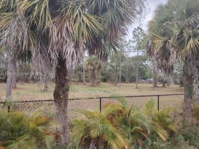 Land for sale in Clewiston, Florida