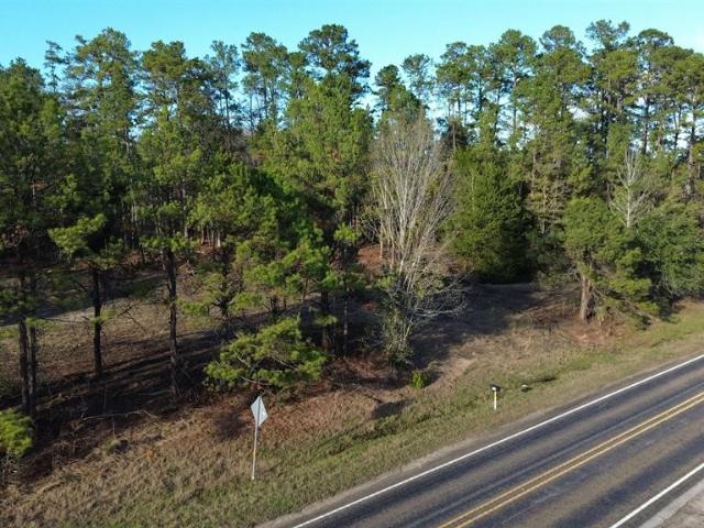 Land for sale in Burkeville, Newton County