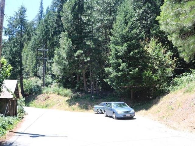 Land for sale in Downieville, California