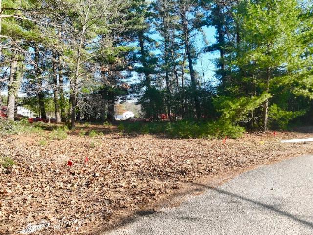 Land for sale in Redgranite, Wisconsin