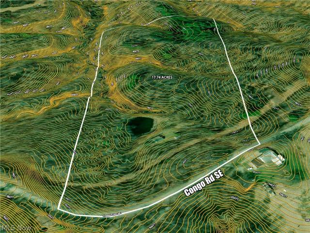 Land for sale in Congo, Corning