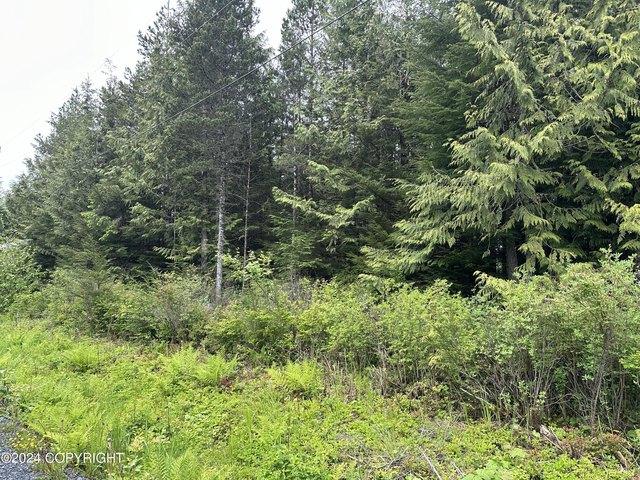 Land for sale in Meyers Chuck