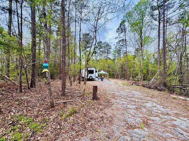 Land for sale in Abbeville, South Carolina