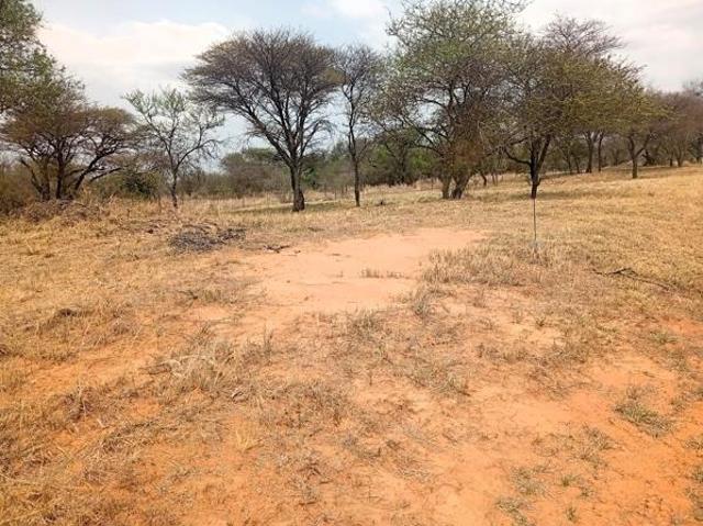 Land for sale in Limpopo