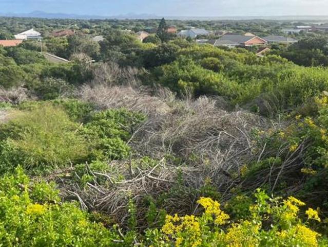 Land for sale in Cape St Francis, Eastern Cape