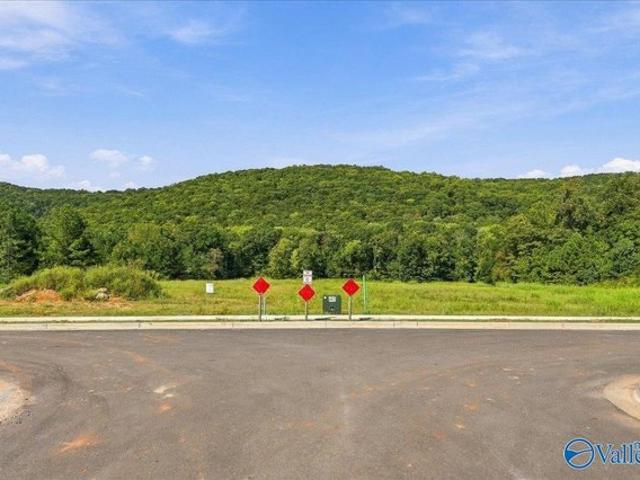 Land for sale in Owens Cross Roads, Alabama