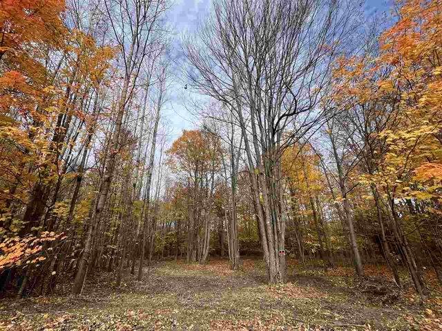 Land for sale in Alanson, Michigan