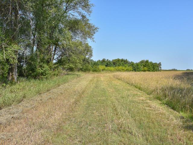 Land for sale in Minnesota
