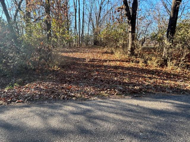Land for sale in Marshall, Illinois