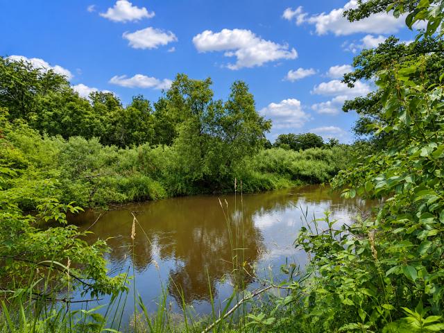 House for sale in Morrison, Minnesota