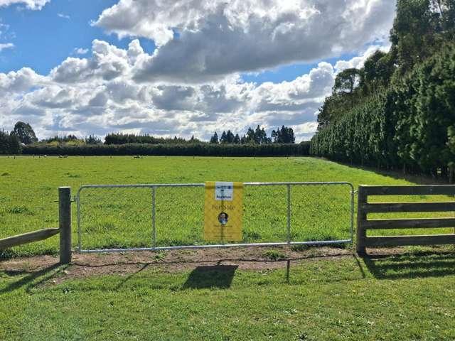 Land for sale in Darfield, Selwyn District