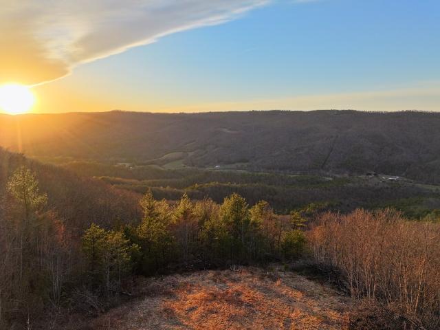 Land for sale in Pulaski, Pulaski County
