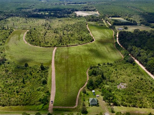Land for sale in Abbeville, Wilcox County
