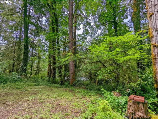 Land for sale in Oregonia