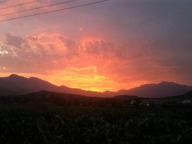 Farm for sale in Durbanville, Western Cape