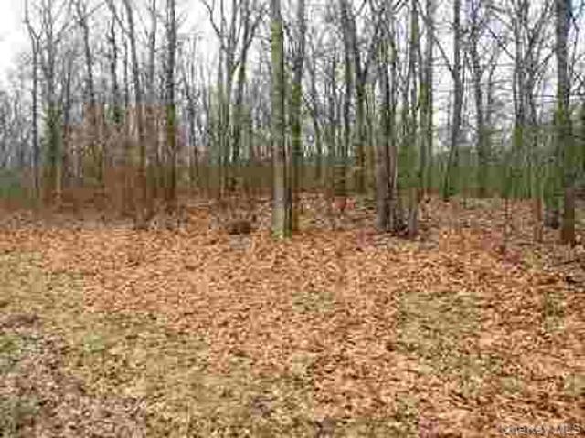 House for sale in Pine Plains, New York