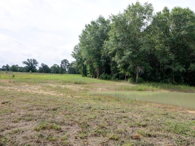 Land for sale in Alto, Texas