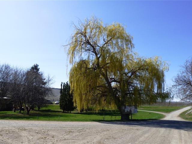 Farm for sale in Bridgeport, Okanogan County