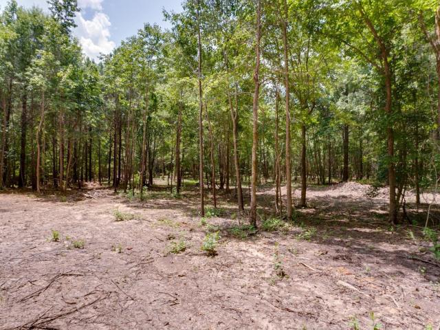 Land for sale in Little Mountain, South Carolina