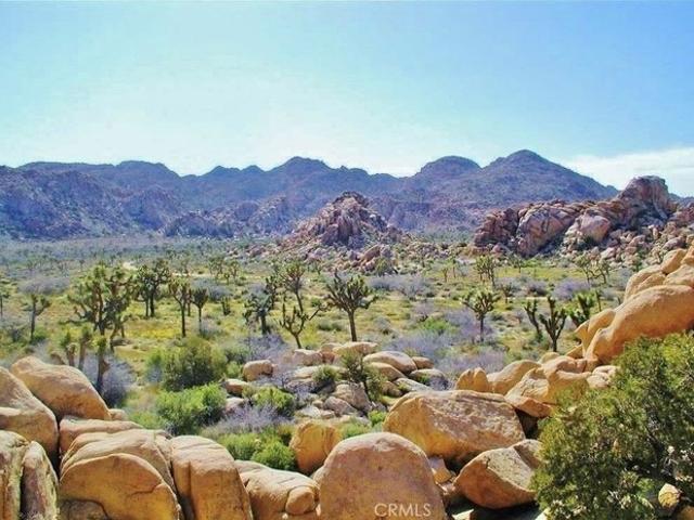 Land for sale in Joshua Tree, California