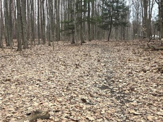 Land for sale in Orchard Park, New York