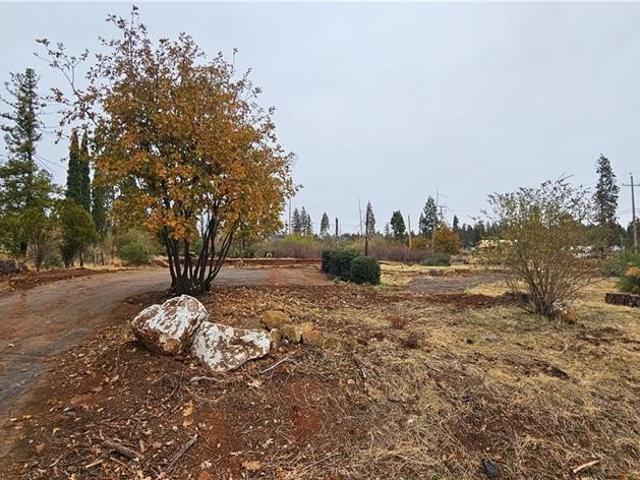 Land for sale in Butte, California