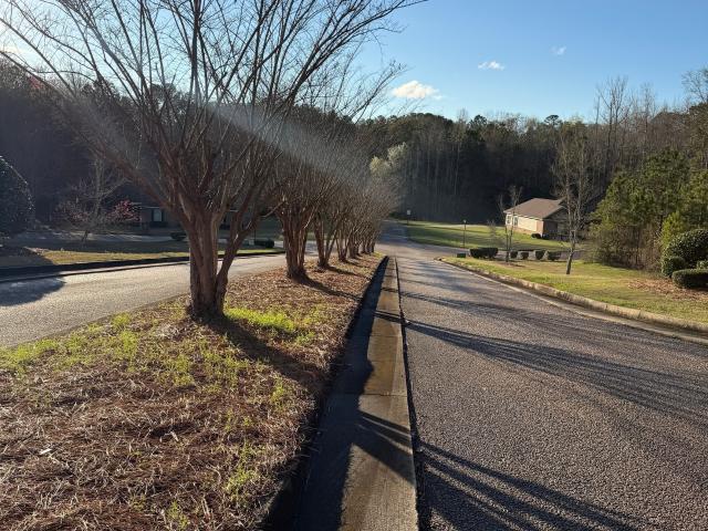 Land for sale in Lanett, Alabama