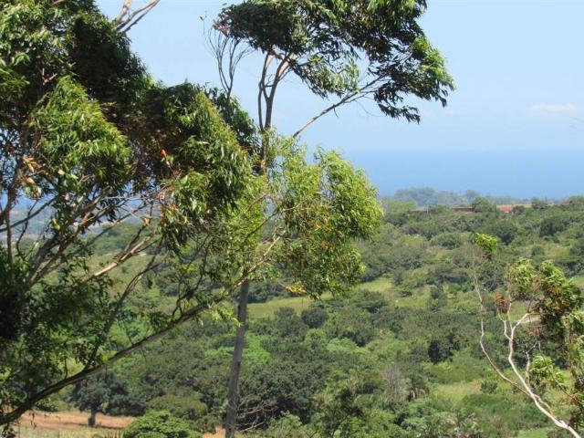 Land for sale in Ugu District Municipality, Kwazulu-natal