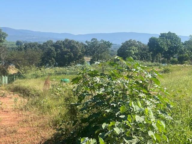 Land for sale in Mopani, Limpopo