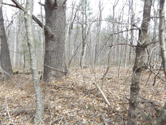 Land for sale in Virginia