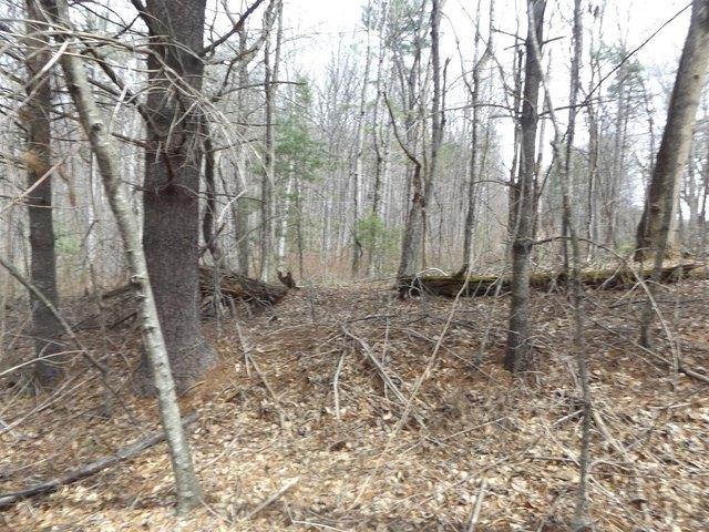 Land for sale in Virginia