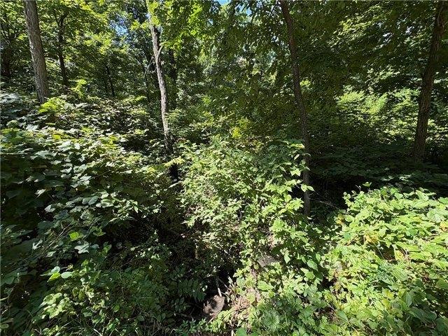 Land for sale in Kansas