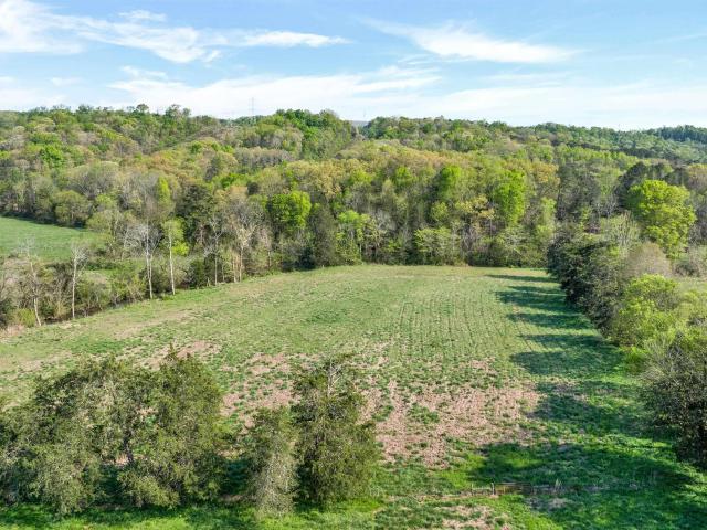 Land for sale in Flat Rock, Alabama