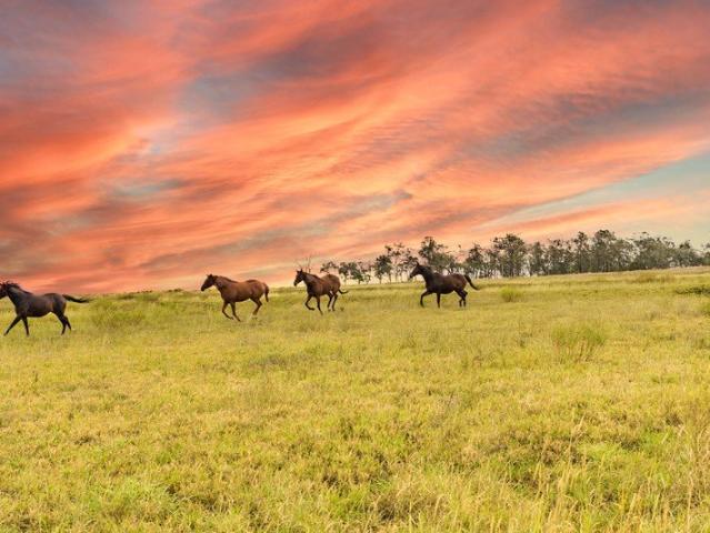Cottage for sale in Biddeston, Queensland