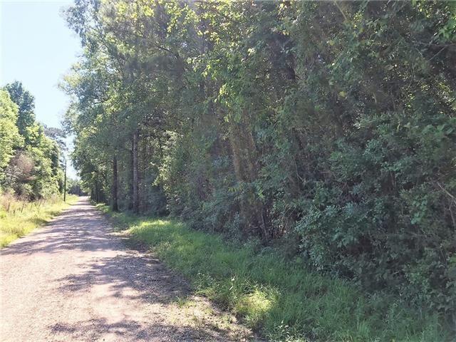 Land for sale in Bogalusa, Louisiana