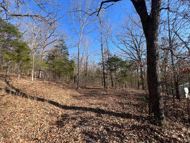 House for sale in Theodosia, Missouri