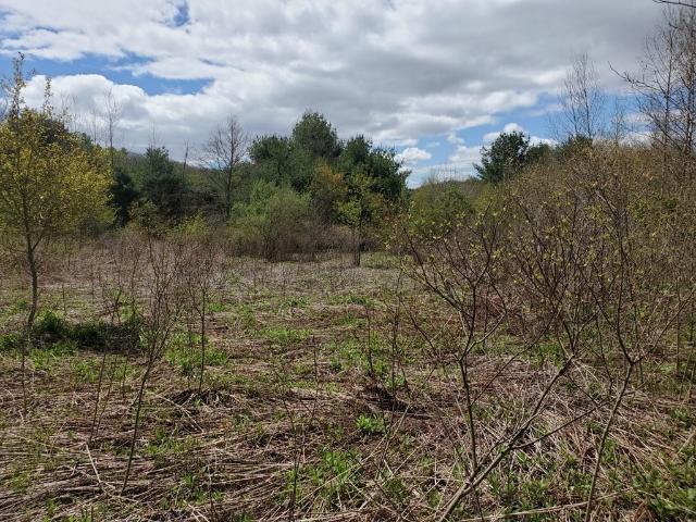 Land for sale in North Brookfield, Massachusetts