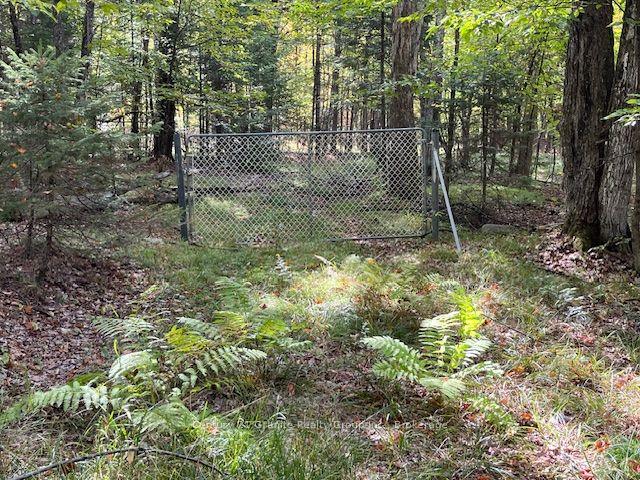 Land for sale in Minden Hills, Ontario