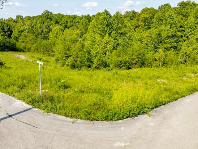 Land for sale in Monticello, Kentucky