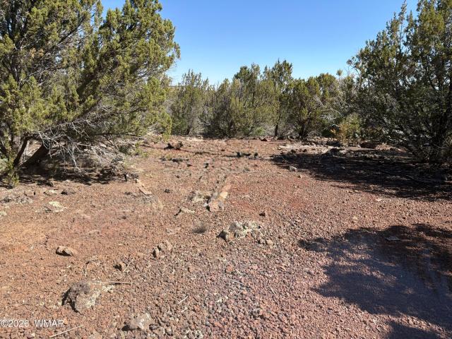 Land for sale in Arizona