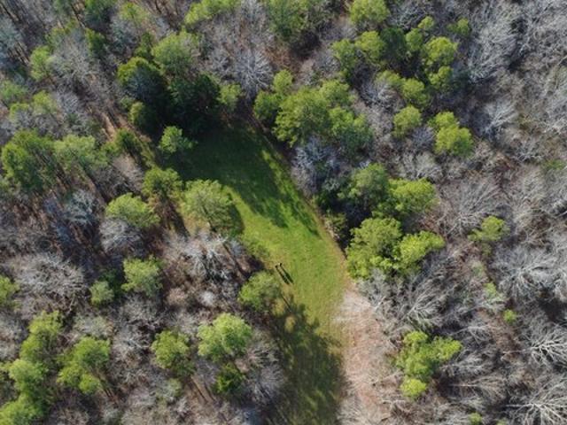 Land for sale in Walnut, Mississippi
