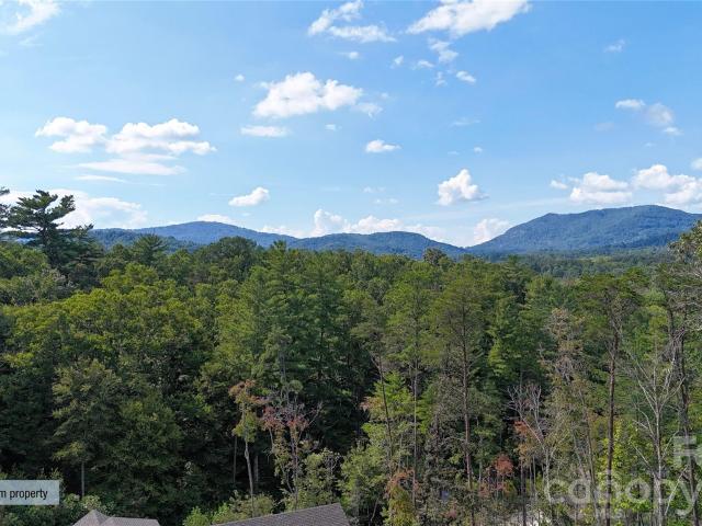 Land for sale in Fairview, North Carolina