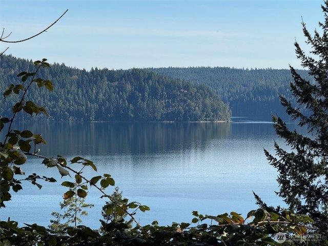 Land for sale in Lilliwaup, Washington