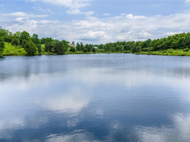 House for sale in Jefferson, New York