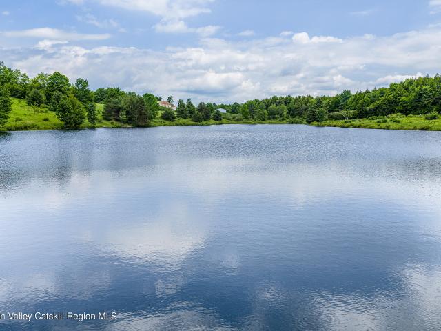 House for sale in Jefferson, New York